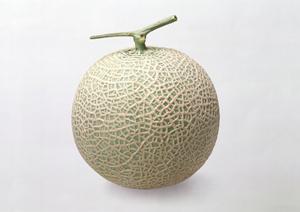 初心者でも利用できるミナミのホスト